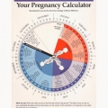 YOUR PREGNANCY CALCULATOR 