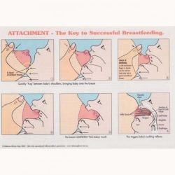 ATTACHMENT- KEY TO SUCCESSFUL BREASTFEEDING