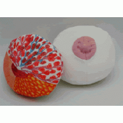 BREAST MODEL