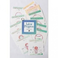 LABOUR PROGRESS POCKET GUIDE