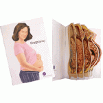 PREGNANCY Standard A2 size